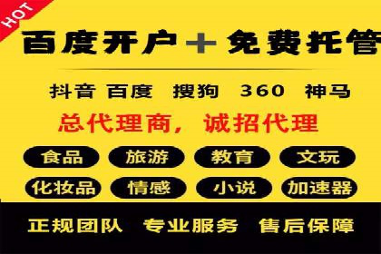 竞价端口开户后的广告投放策略案例